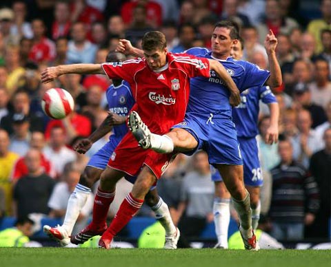 带来了新的 带来了新的